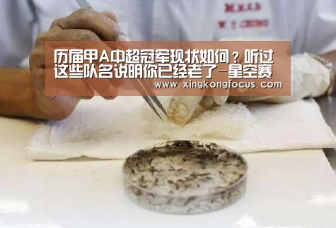 历届甲A中超冠军现状如何?听过这些队名说明你已经老了-星空赛事(图3) 星空导航
